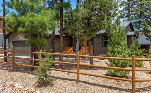Pinetop, Arizona, United States 1