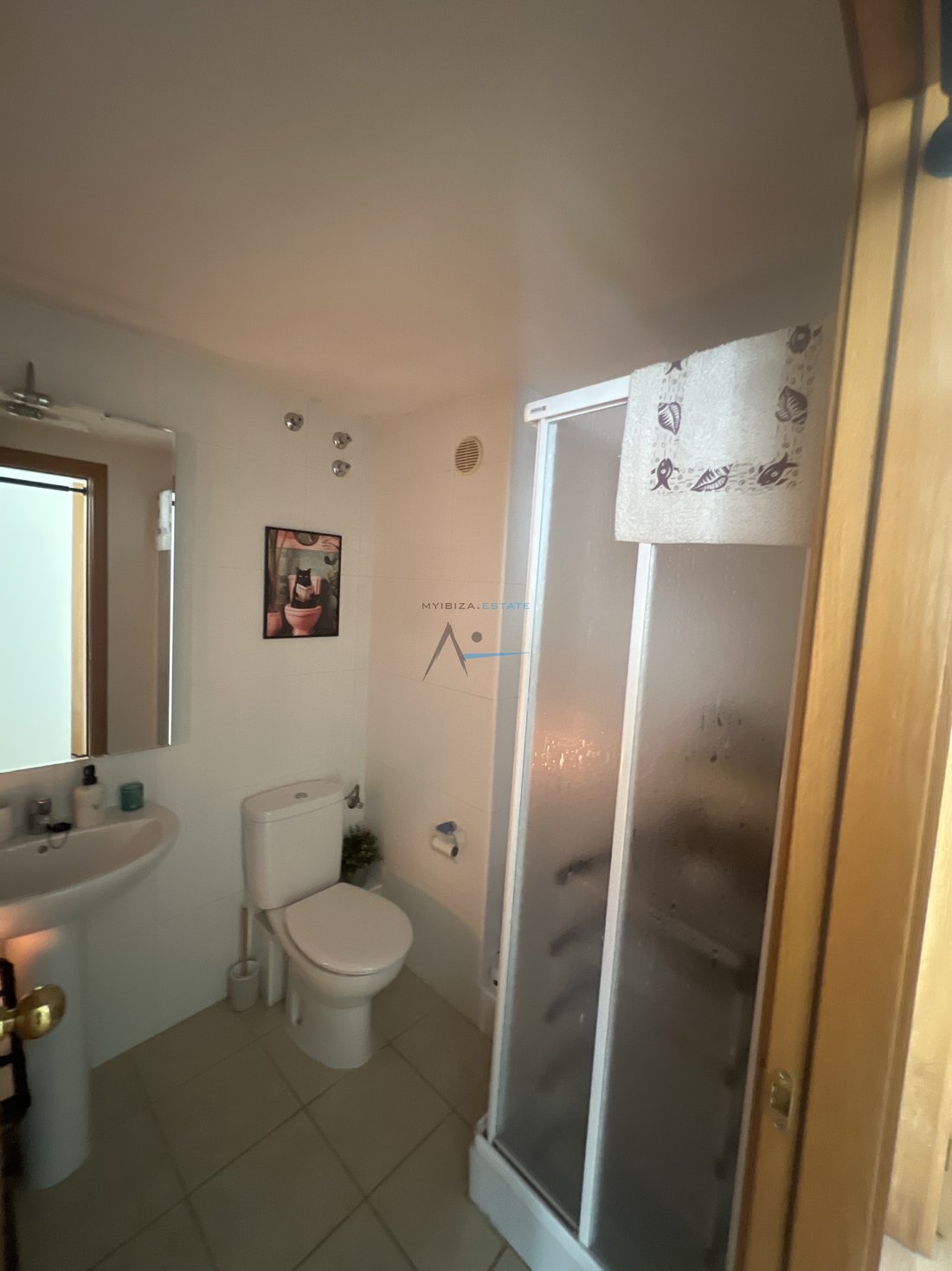 Apartment in Santa Eularia des Riu, Balearic Islands, Spain 4 - 18548130