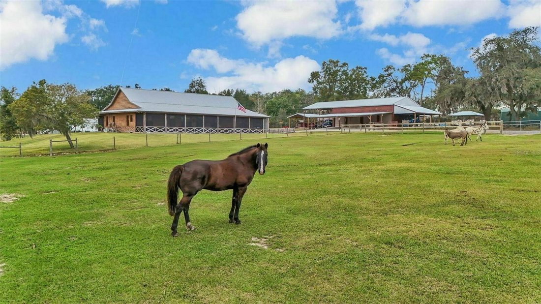 Farm Ranch in Lakeland, Florida, United States 1 - 17185210