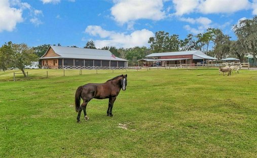 Farm Ranch in Lakeland, Florida, United States 1