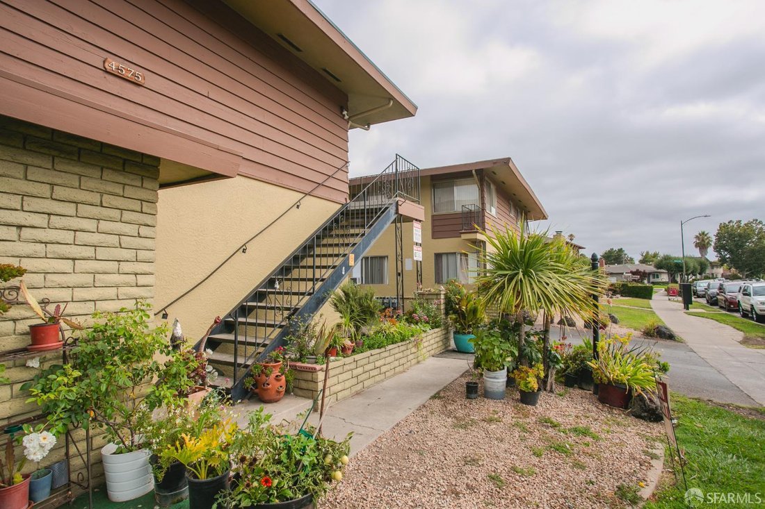 Saratoga, California, United States 5 - 18550914