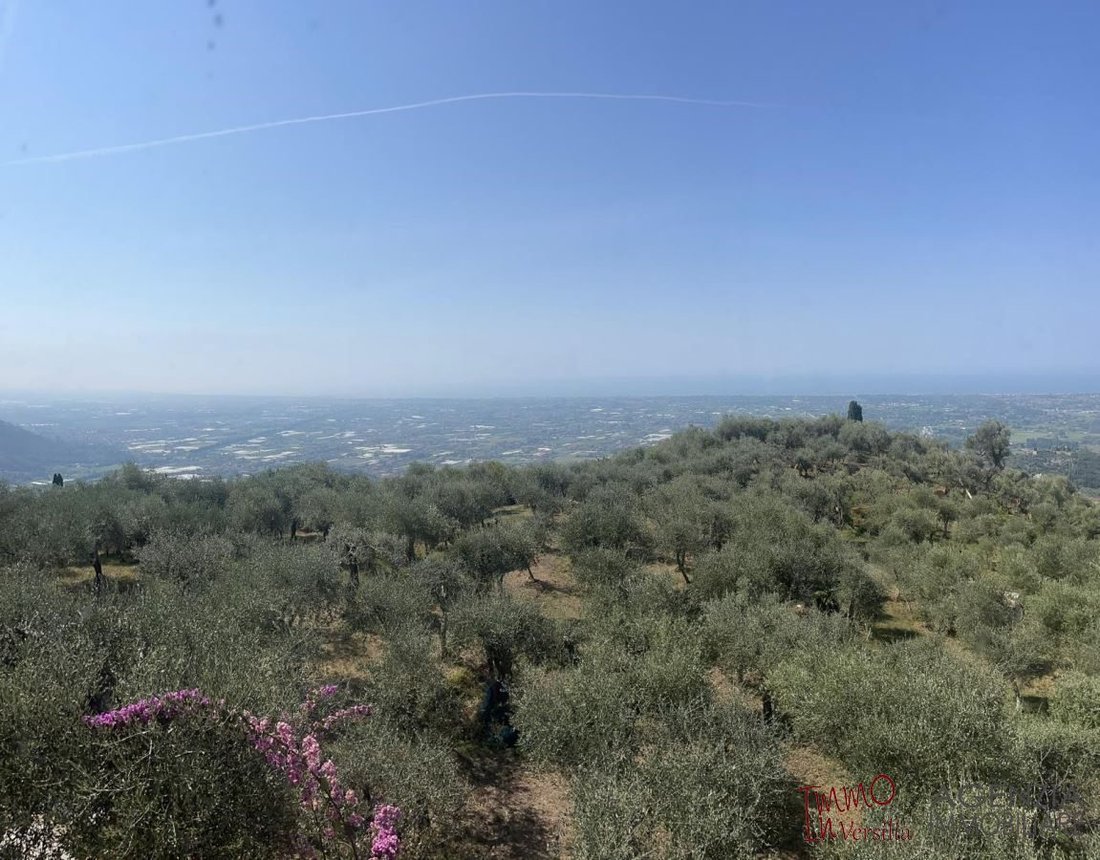 Villa in Camaiore, Tuscany, Italy 4 - 18551396