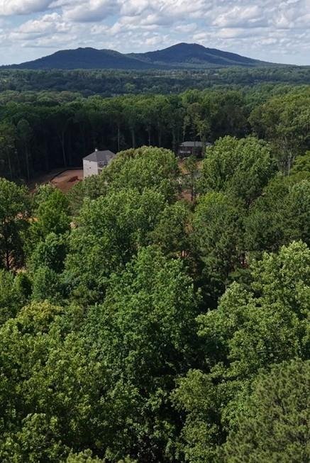 House in Marietta, Georgia, United States 5 - 18548208