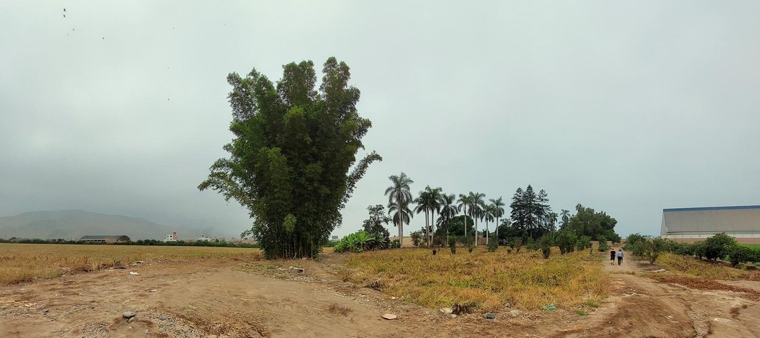 Land in Huaral, Belarus 2 - 18550615