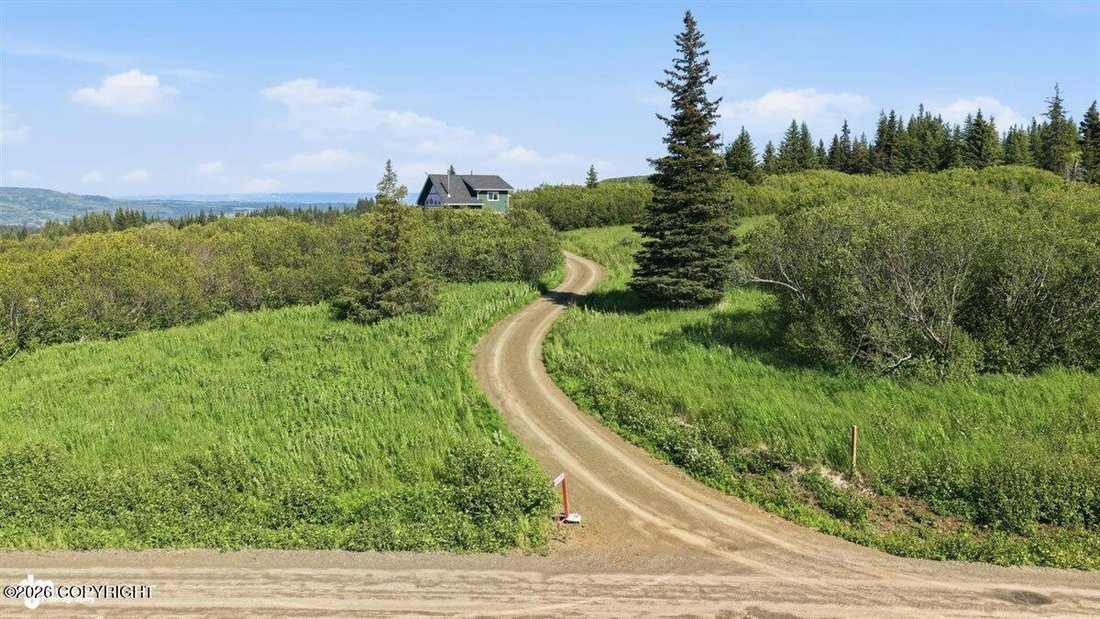 House in Homer, Alaska, United States 3 - 18551282