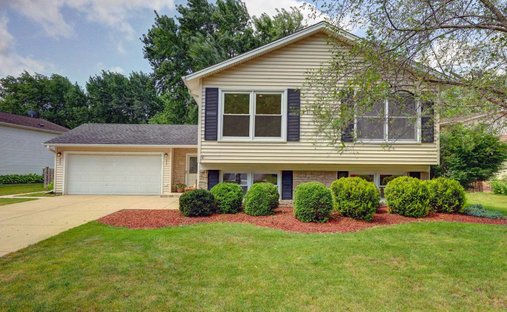 House in Prospect Heights, Illinois, United States 1