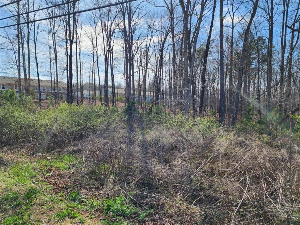 Land in Douglasville, Georgia, United States 5 - 18552369
