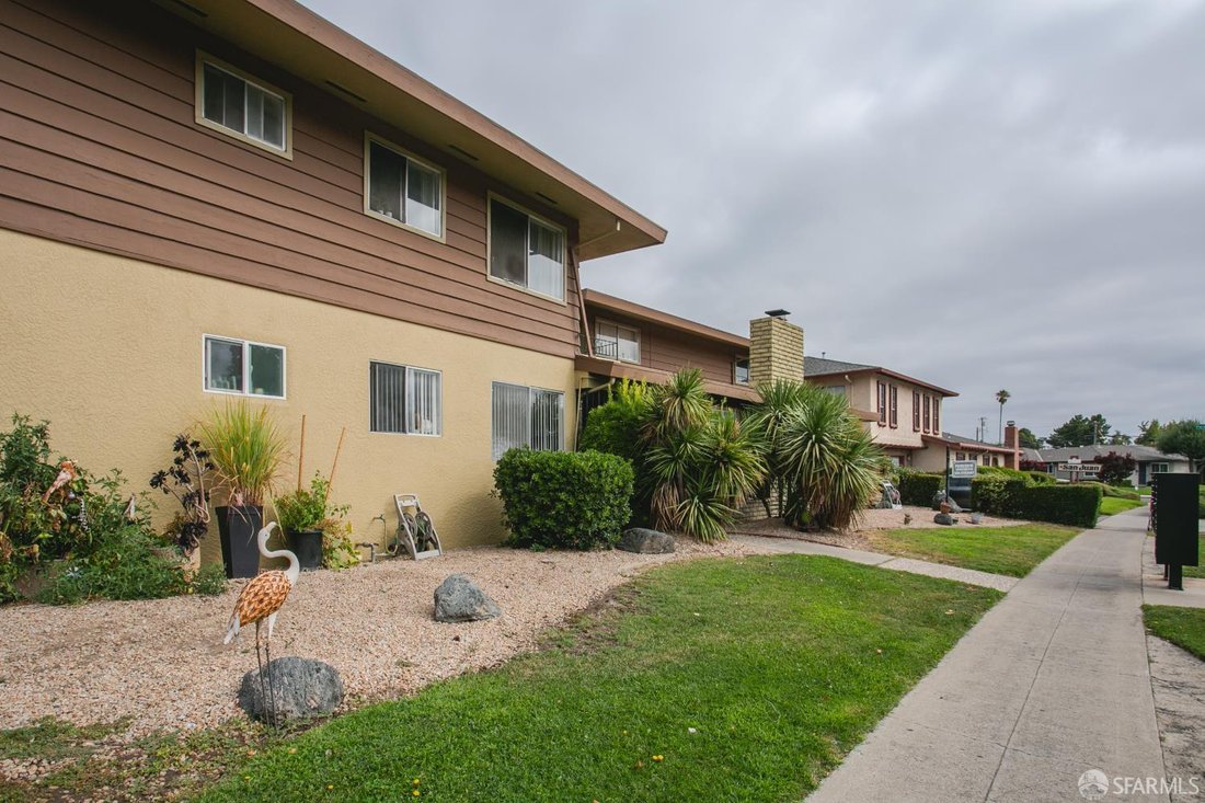 Saratoga, California, United States 4 - 18550914