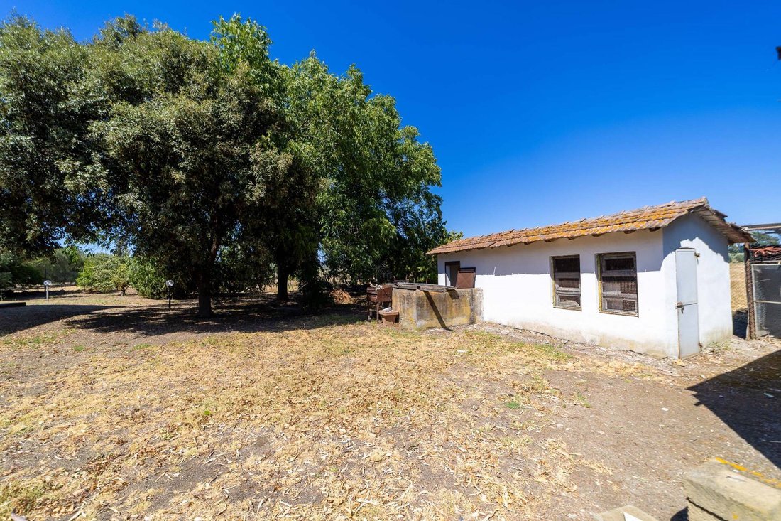 Villa in Capalbio, Tuscany, Italy 5 - 18553956