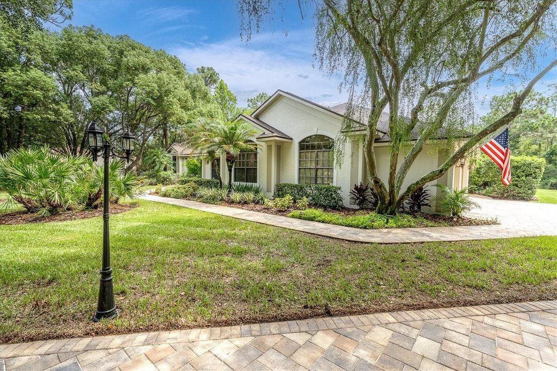 House in Trinity, Florida, United States 4 - 18551516