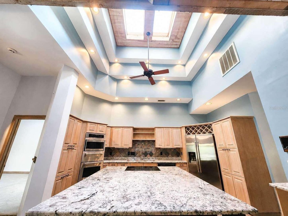 House in Palm Harbor, Florida, United States 5 - 17178419