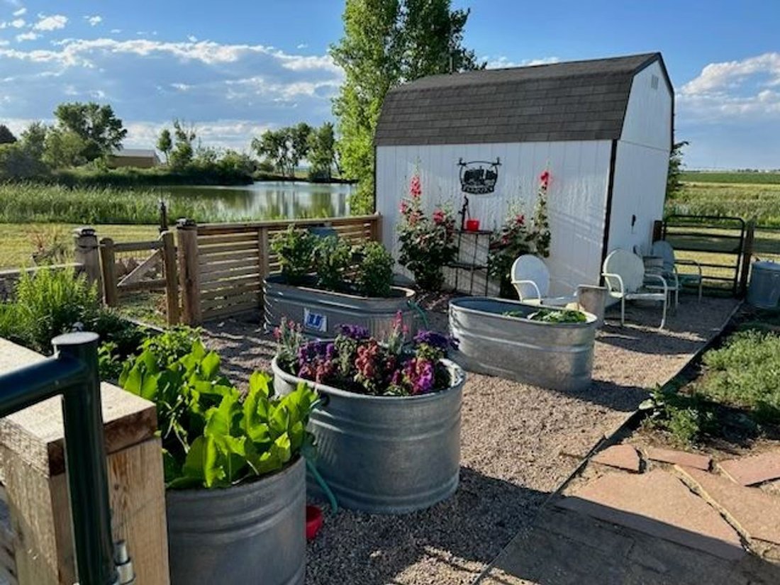 Windsor, Colorado, United States 3 - 18537065