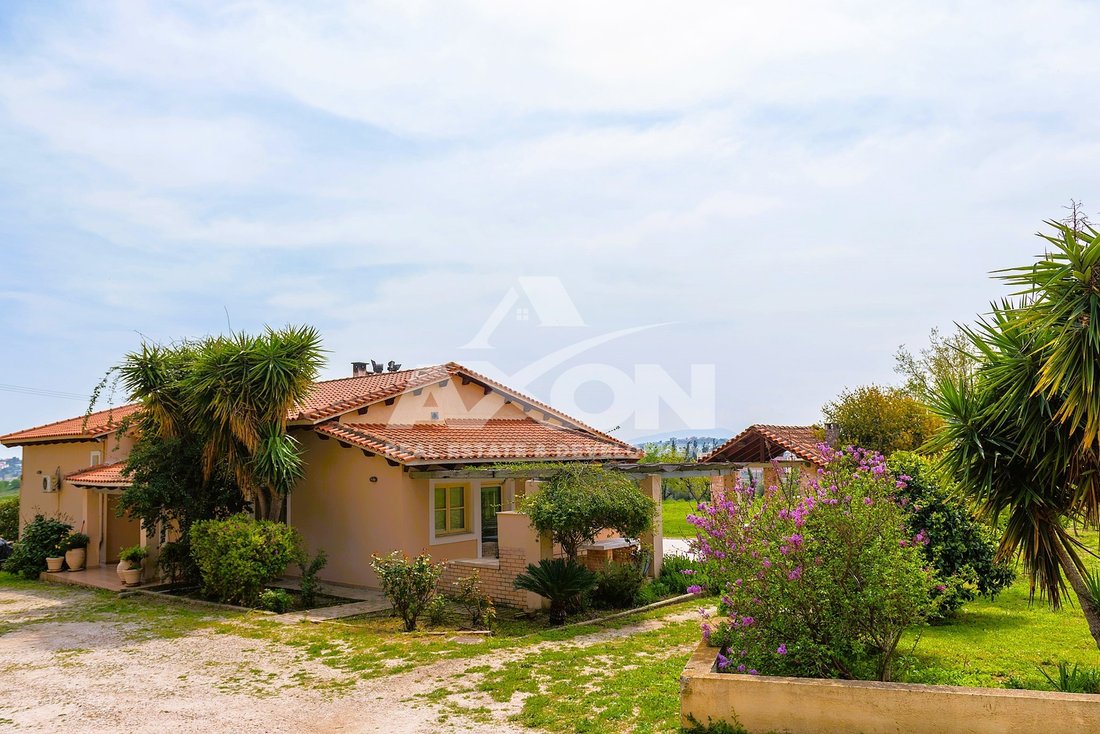 House in Spata-Loutsa, Attica, Greece 4 - 18548219