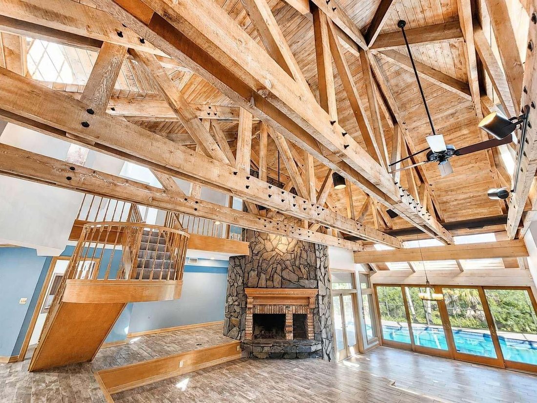 House in Palm Harbor, Florida, United States 3 - 17178419