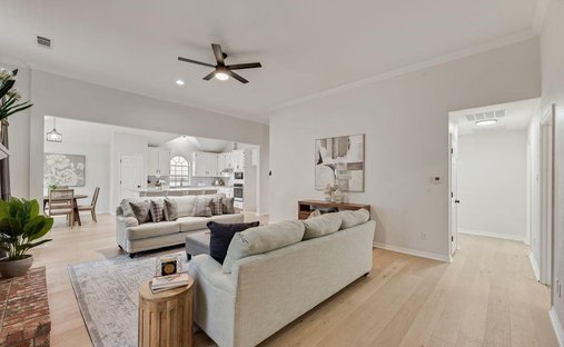 House in Carrollton, Texas, United States 1