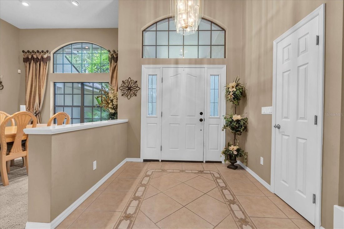 House in Trinity, Florida, United States 5 - 18551516