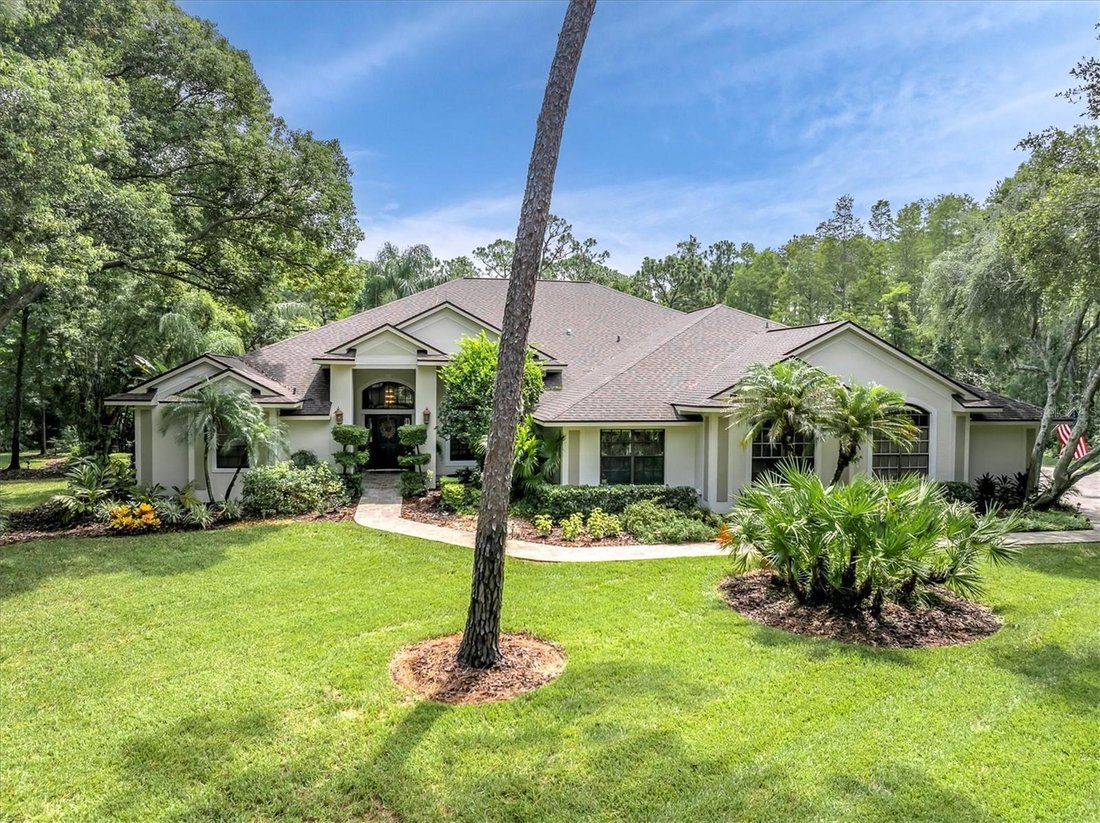 House in Trinity, Florida, United States 1 - 18551516