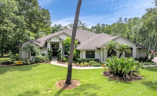 Haus in Trinity, Florida, Vereinigte Staaten 1