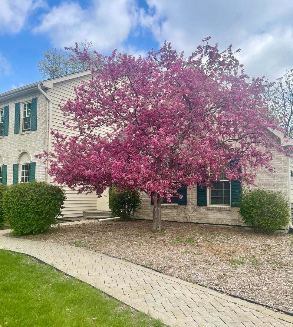 House in Bolingbrook, Illinois, United States 3 - 18552611