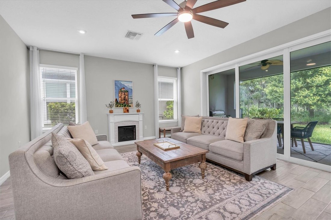 House in Odessa, Florida, United States 3 - 18551532