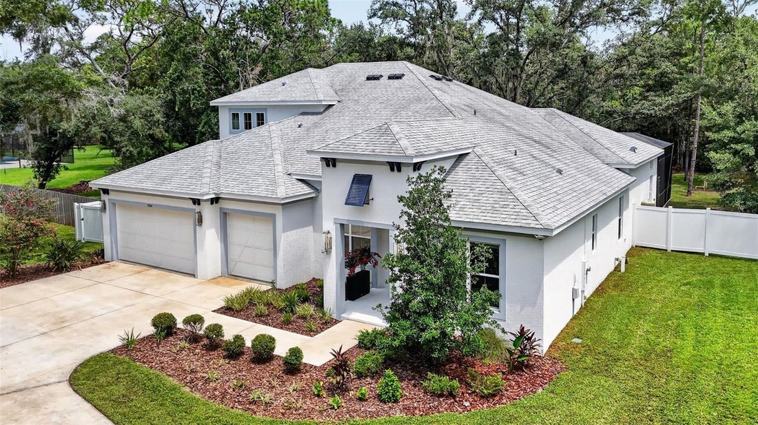 House in Lutz, Florida, United States 4 - 18551489