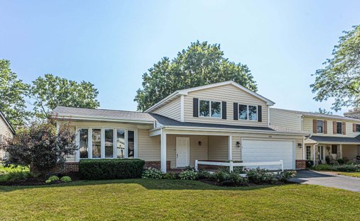House in Willowbrook, Illinois, United States 1
