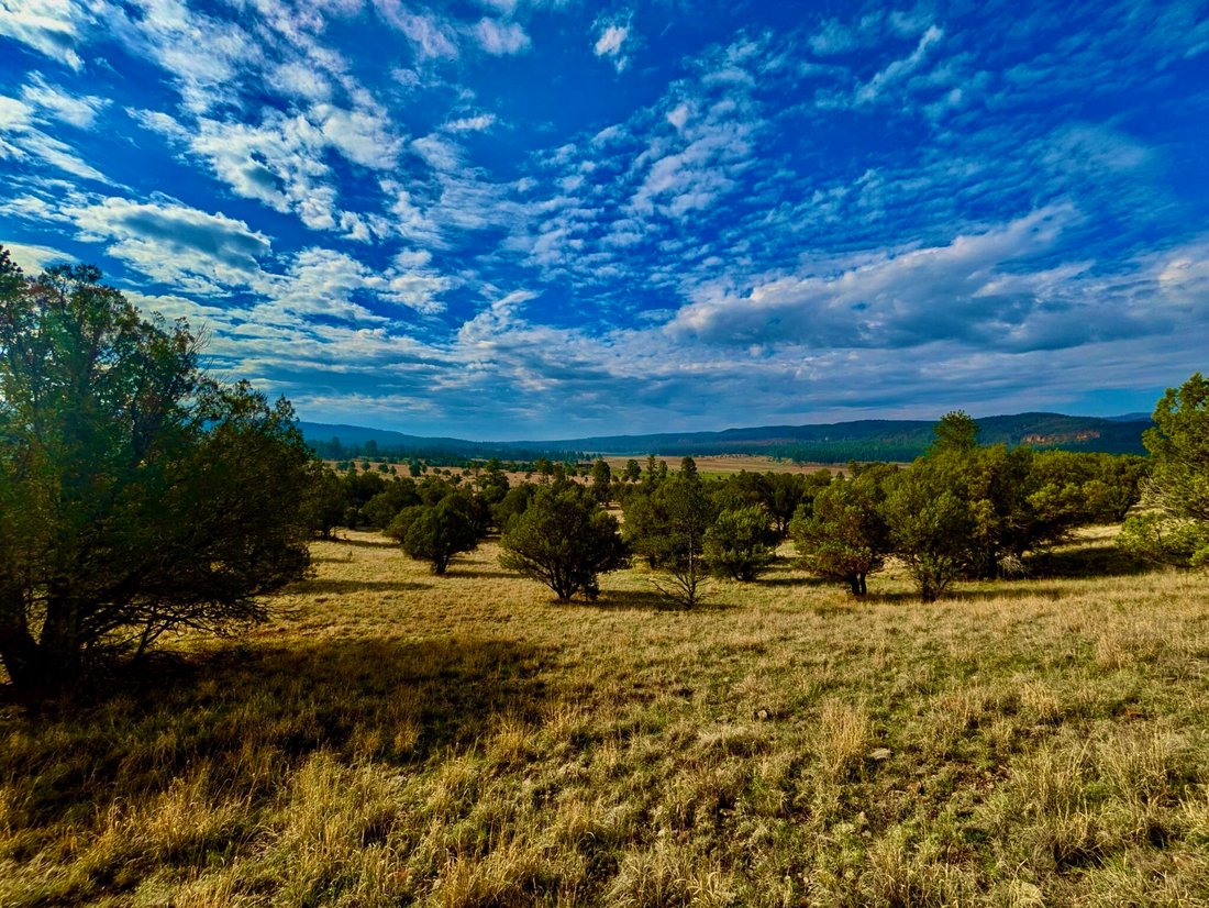 House in Silver City, New Mexico, United States 4 - 18550682