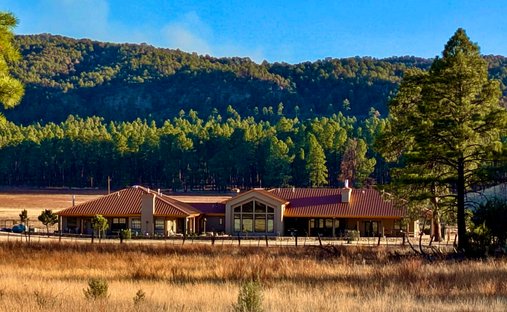 House in Silver City, New Mexico, United States 1