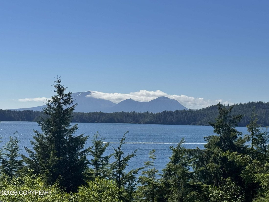 House in Sitka, Alaska, United States 3 - 18551288