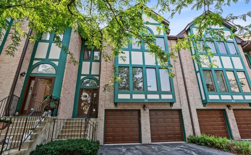 Condo in Prospect Heights, Illinois, United States 1