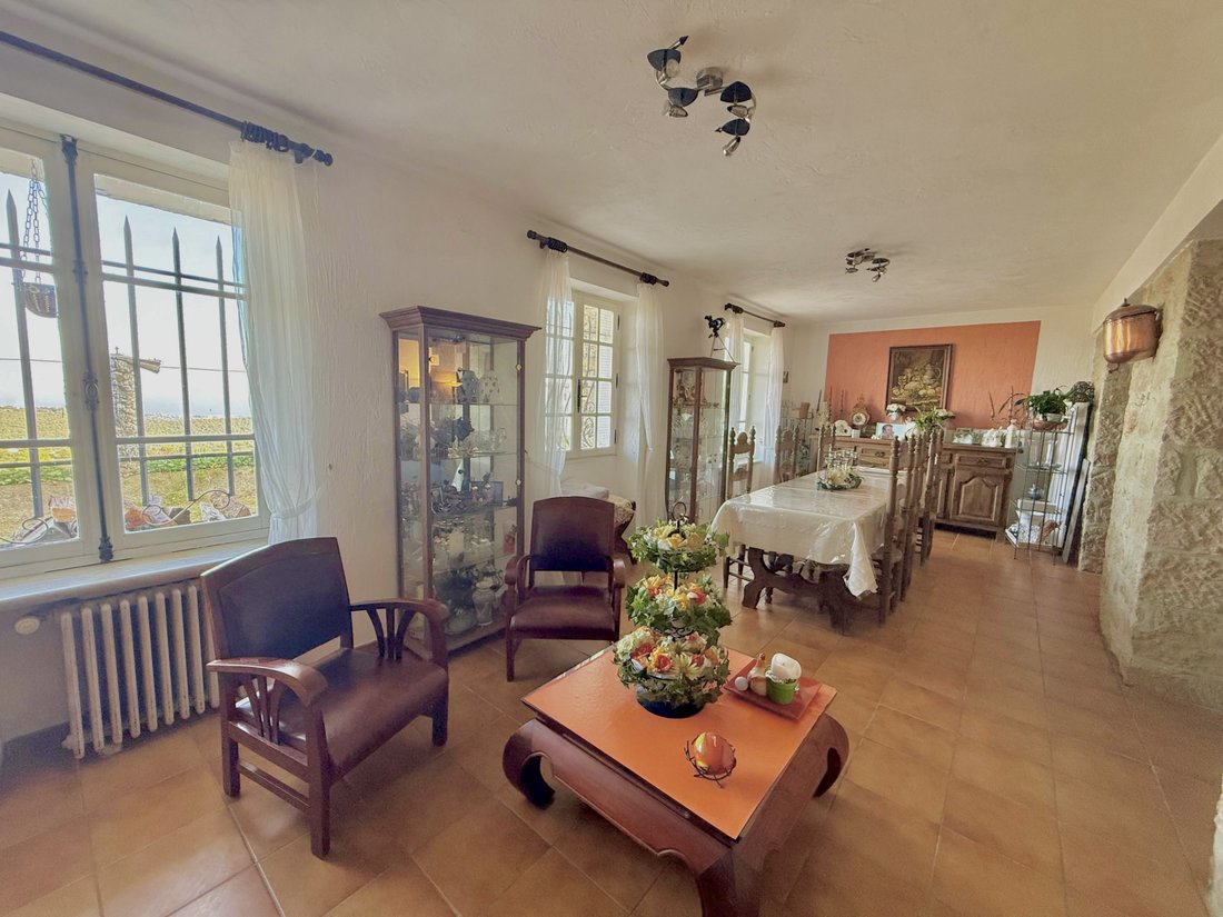 Villa in Tourrettes-sur-Loup, Provence-Alpes-Côte d'Azur, Frankreich 5 - 18552075