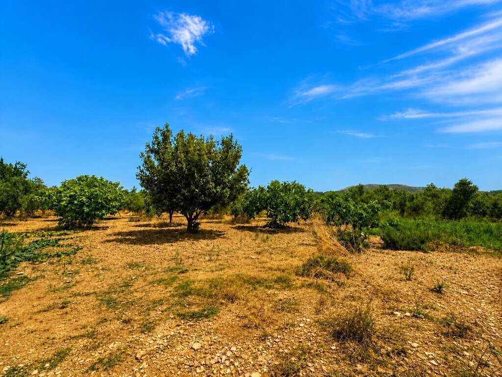 Land in Alcudia, Balearic Islands, Spain 2 - 18553017