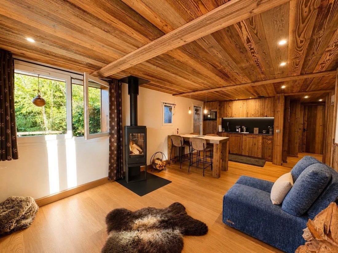 Apartment in Megève, Auvergne-Rhône-Alpes, France 4 - 18549846
