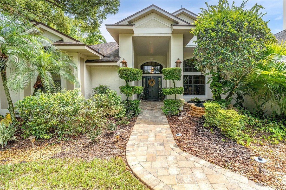 House in Trinity, Florida, United States 3 - 18551516