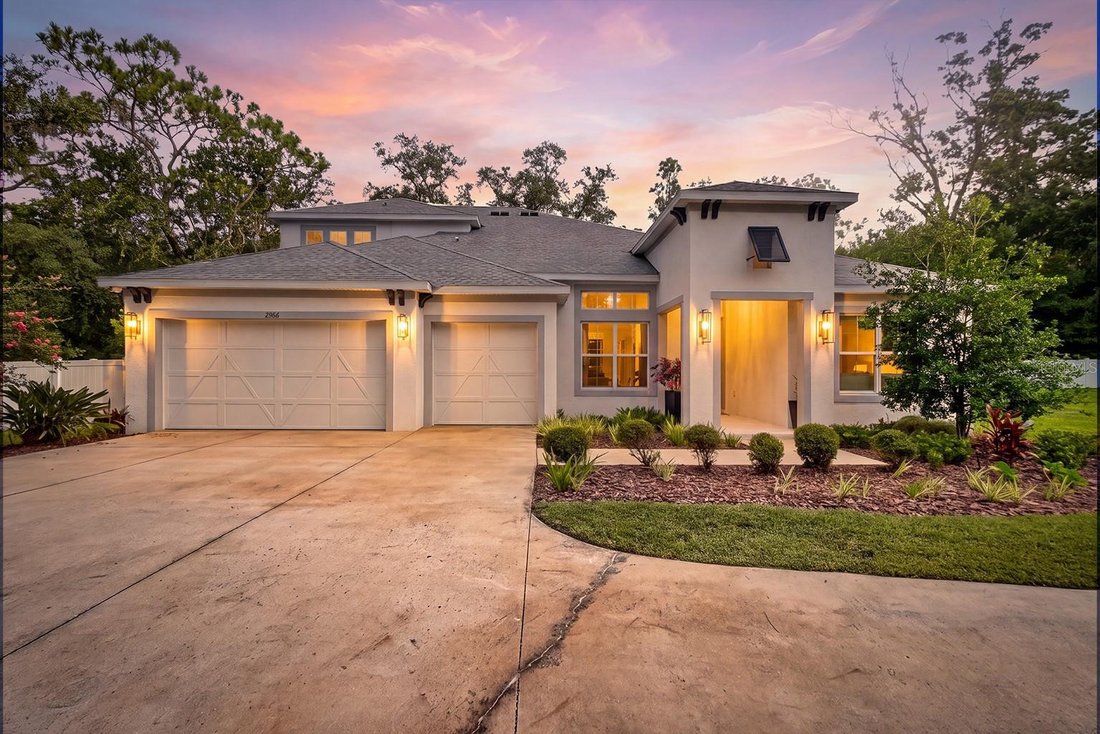 House in Lutz, Florida, United States 1 - 18551489