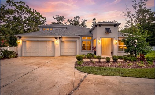 House in Lutz, Florida, United States 1