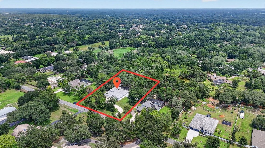 House in Lutz, Florida, United States 5 - 18551489