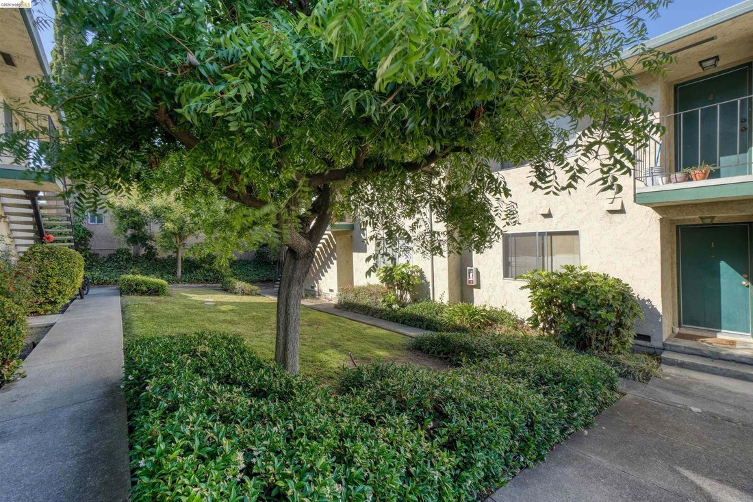 San Leandro, California, United States 4 - 18551655