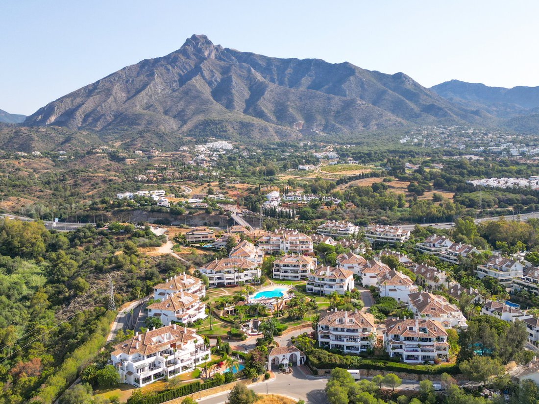 Penthouse in Golden Mile, Andalusia, Spain 3 - 18554864