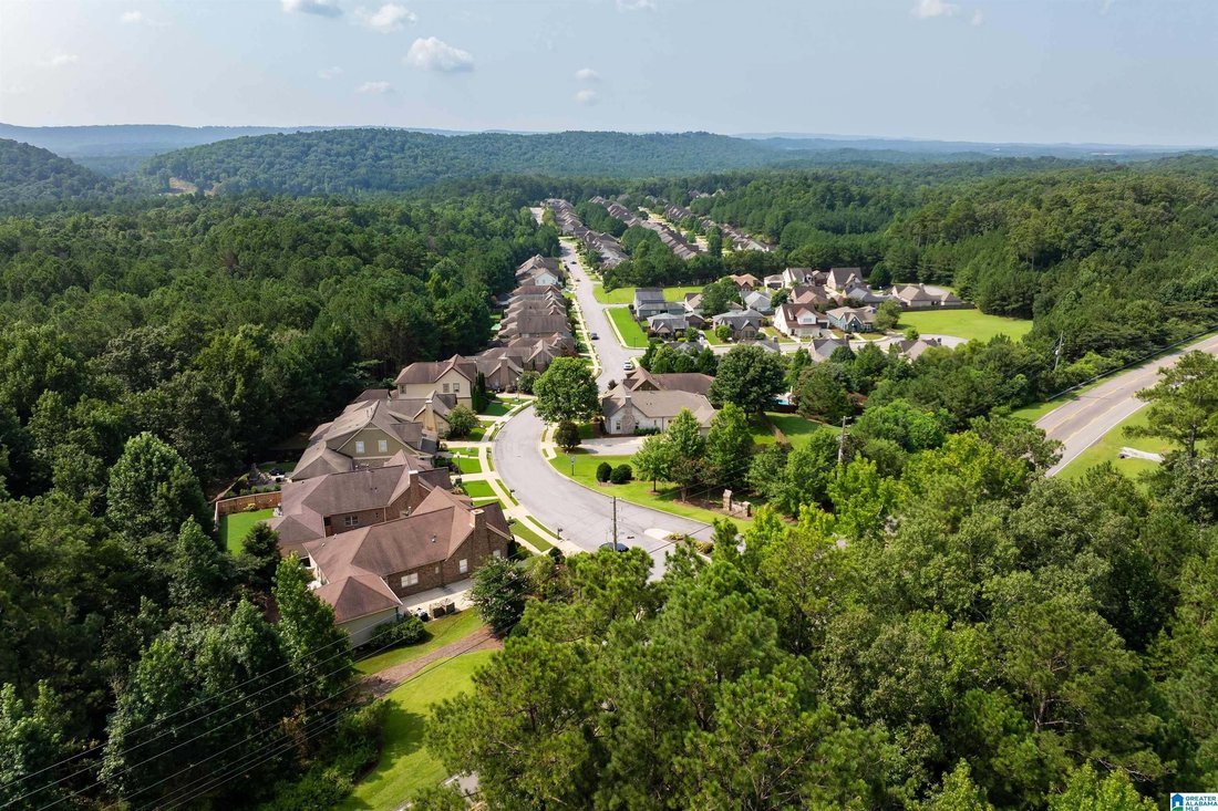 House in Vestavia Hills, Alabama, United States 4 - 18554427