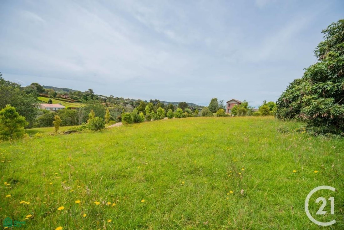 Land in Las Mercedes, Antioquia, Colombia 1 - 18353385