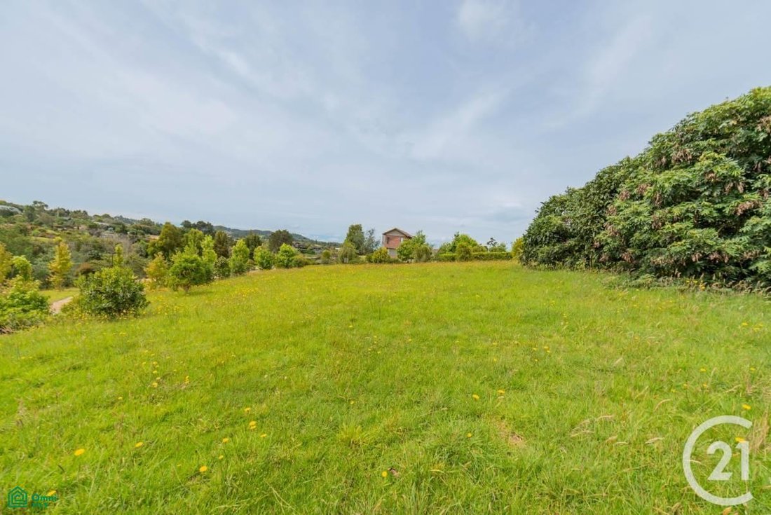 Land in Las Mercedes, Antioquia, Colombia 4 - 18353385