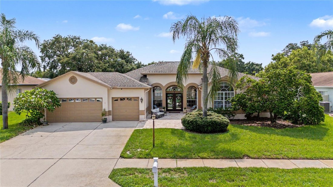 House in Palm Harbor, Florida, United States 4 - 18554883