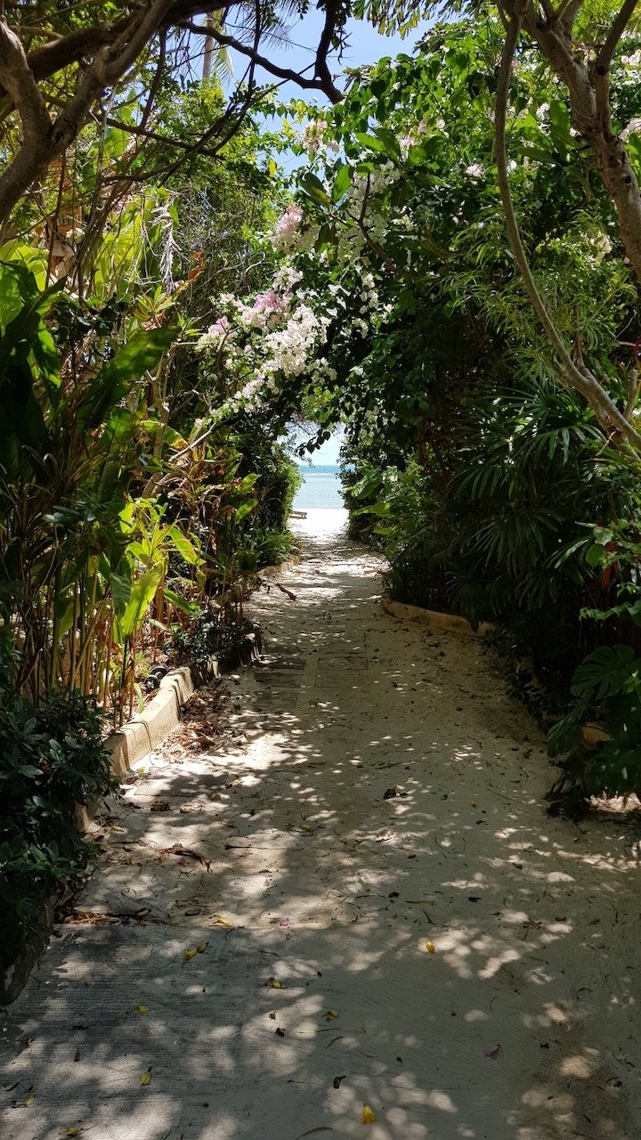 Villa in Koh Samui, Surat Thani, Thailand 5 - 18555895
