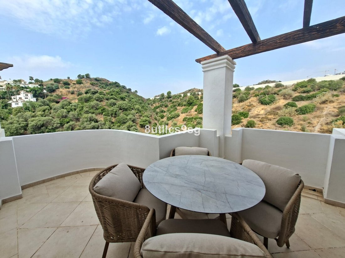 Apartment in Centro, Malaga, Spain 3 - 17026429