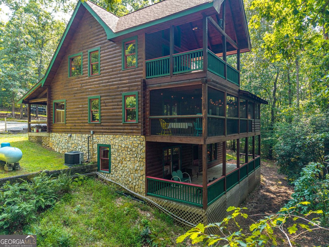 House in Mineral Bluff, Georgia, United States 4 - 18555465