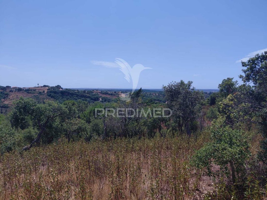 Farm Ranch in Sao Francisco da Serra, Setubal, Portugal 1 - 18555725