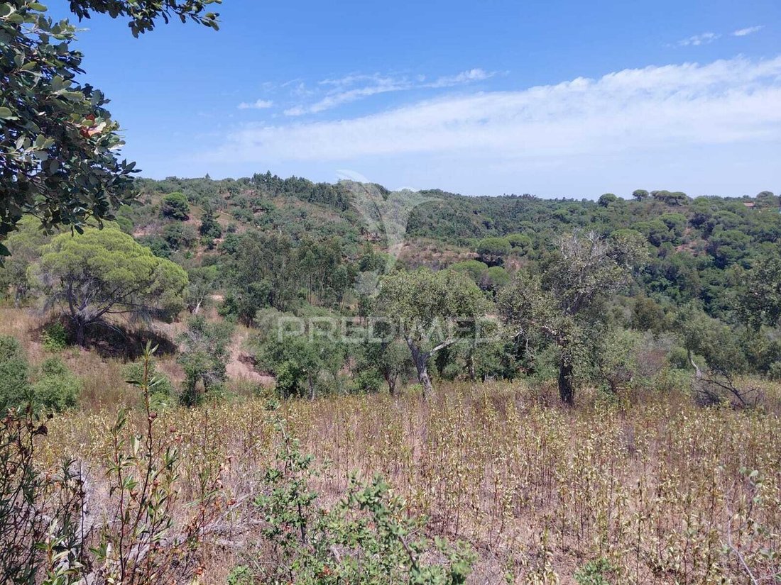 Farm Ranch in Sao Francisco da Serra, Setubal, Portugal 4 - 18555725