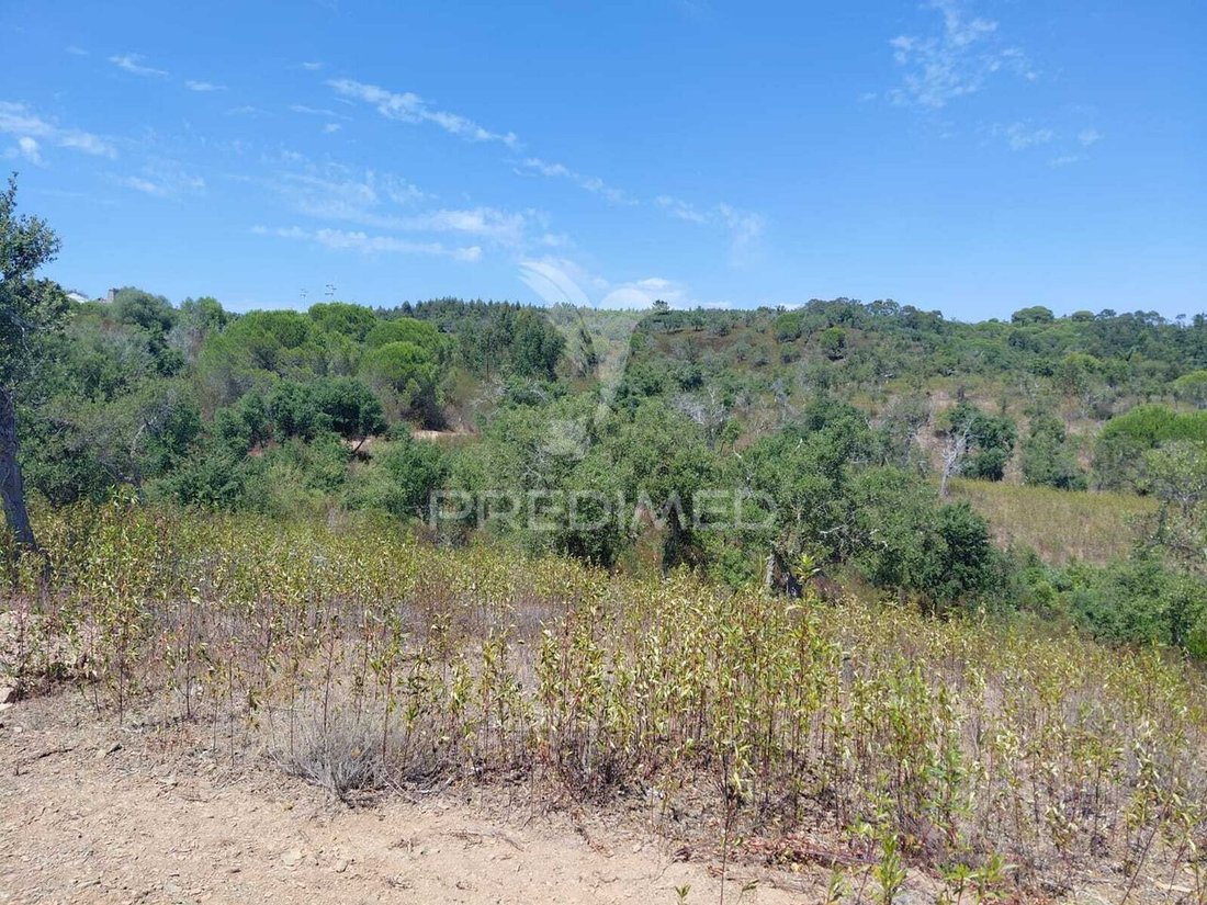 Farm Ranch in Sao Francisco da Serra, Setubal, Portugal 5 - 18555725