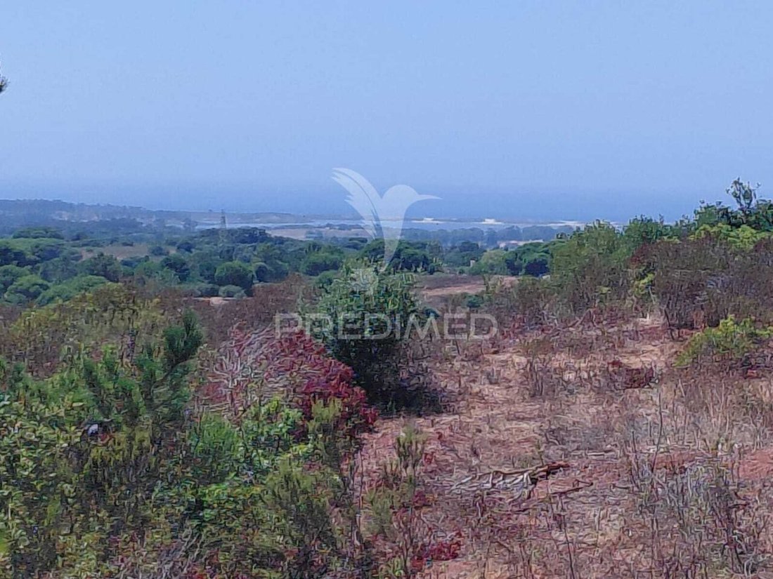 Farm Ranch in Sao Francisco da Serra, Setubal, Portugal 3 - 18555725